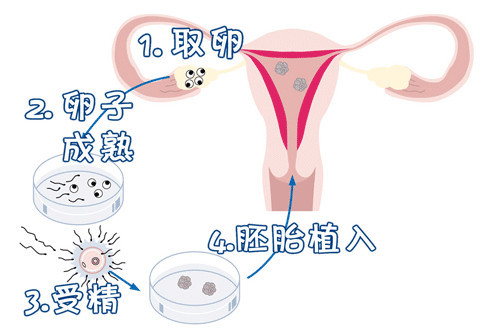 王医生
